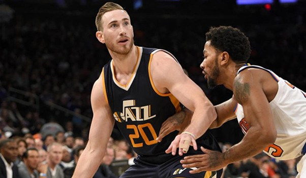 本届梭子鱼 本届梭子鱼